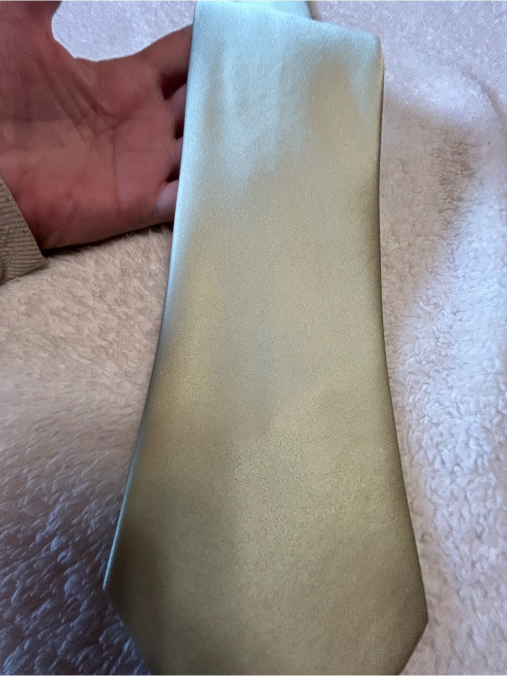 🎁3 for $30 - Light Green Necktie